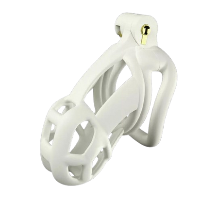 Medium Size Chastity Cage
